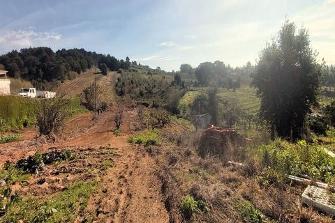 Helårsgrund i Bombarral, Leiria, Bombarral - € 125.000 | Ref: 3133-TUPG - foto 3