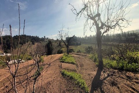 Helårsgrund i Bombarral, Leiria, Bombarral - € 125.000 | Ref: 3133-TUPG - foto 4