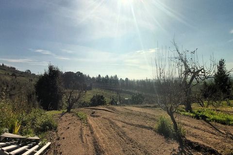 Helårsgrund i Bombarral, Leiria, Bombarral - € 125.000 | Ref: 3133-TUPG - foto 5