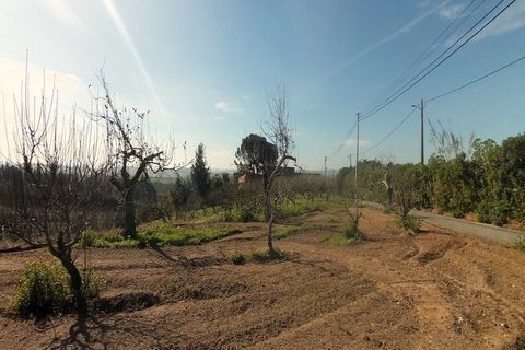 Helårsgrund i Bombarral, Leiria, Bombarral - € 125.000 | Ref: 3133-TUPG - foto 6