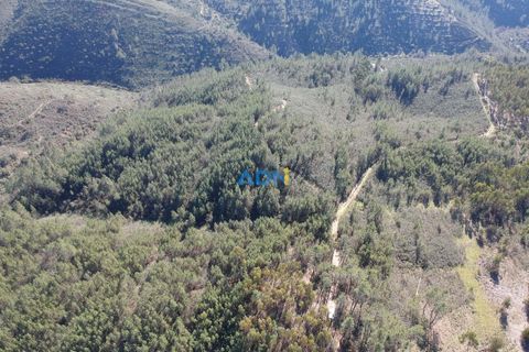 Helårsgrund i Castelo Branco, Castelo Branco, Castelo Branco - € 29.000 | Ref: 124028 - foto 8
