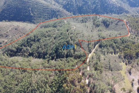 Helårsgrund i Castelo Branco, Castelo Branco, Castelo Branco - € 29.000 | Ref: 124028 - foto 9