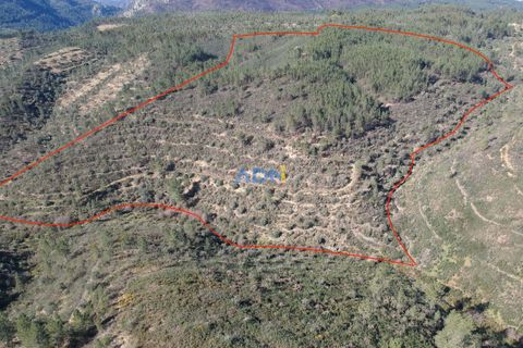 Helårsgrund i Castelo Branco, Castelo Branco, Castelo Branco - € 29.000 | Ref: 124028 - foto 10