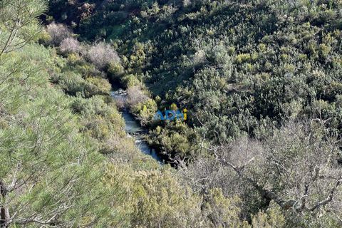 Helårsgrund i Castelo Branco, Castelo Branco, Castelo Branco - € 29.000 | Ref: 124028 - foto 13