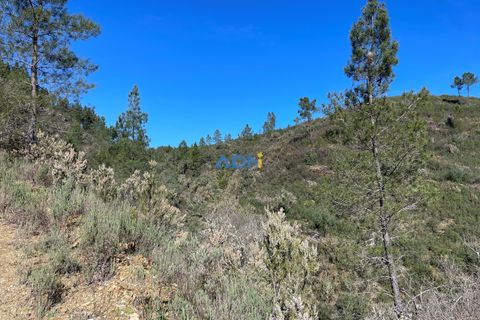 Helårsgrund i Castelo Branco, Castelo Branco, Castelo Branco - € 29.000 | Ref: 124028 - foto 14