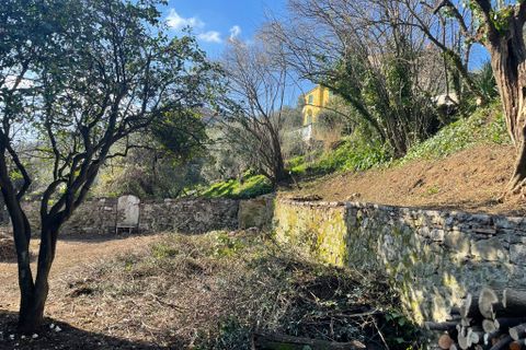 Landejendom i Lucca, Lucca, Lucca - € 75.000 | Ref: 548 - foto 7