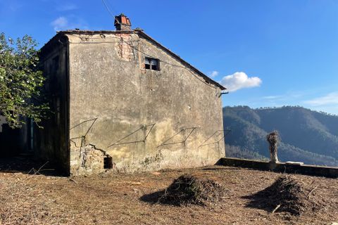 Landejendom i Lucca, Lucca, Lucca - € 75.000 | Ref: 548 - foto 6