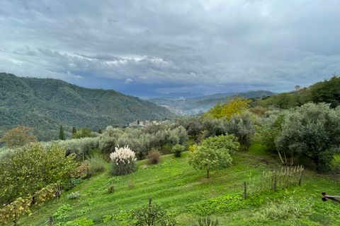 Landejendom i Lucca, Lucca, Lucca - € 75.000 | Ref: 548 - foto 11