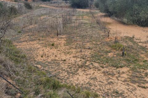 Finca i El Pinell De Brai, Tarragona, El Pinell De Brai - € 75.000 | Ref: Pb7 - foto 11