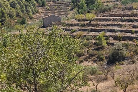 Finca i El Pinell De Brai, Tarragona, El Pinell De Brai - € 75.000 | Ref: Pb7 - foto 16