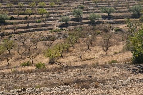 Finca i El Pinell De Brai, Tarragona, El Pinell De Brai - € 75.000 | Ref: Pb7 - foto 17