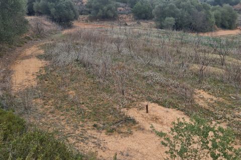 Finca i El Pinell De Brai, Tarragona, El Pinell De Brai - € 75.000 | Ref: Pb7 - foto 13