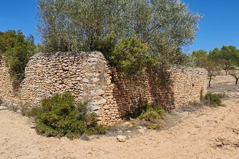 Finca i El Pinell De Brai, Tarragona, El Pinell De Brai - € 75.000 | Ref: Pb7 - foto 8