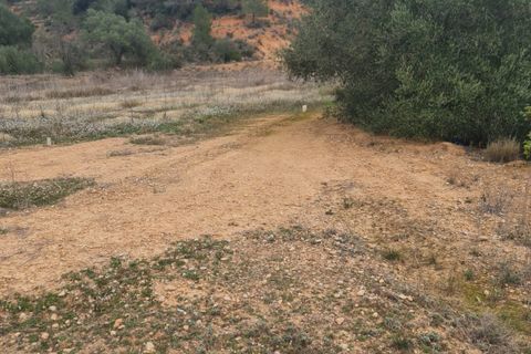 Finca i El Pinell De Brai, Tarragona, El Pinell De Brai - € 75.000 | Ref: Pb7 - foto 15