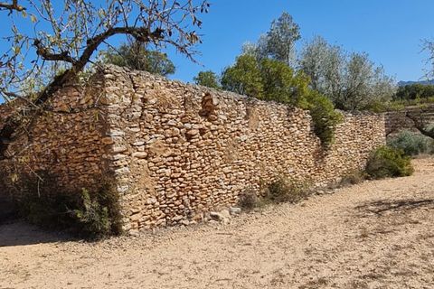 Finca i El Pinell De Brai, Tarragona, El Pinell De Brai - € 75.000 | Ref: Pb7 - foto 5