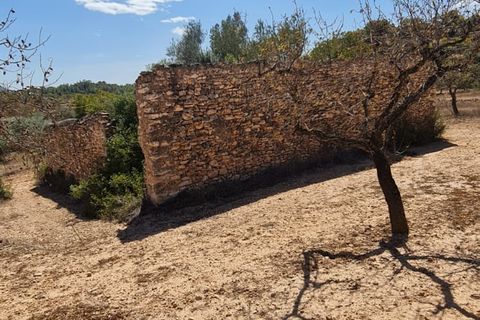 Finca i El Pinell De Brai, Tarragona, El Pinell De Brai - € 75.000 | Ref: Pb7 - foto 4
