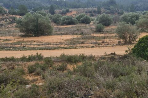Finca i El Pinell De Brai, Tarragona, El Pinell De Brai - € 75.000 | Ref: Pb7 - foto 14