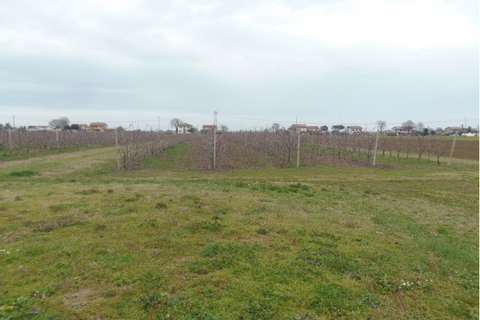 Erhvervsejendom i Cesena, Forli-Cesena, Cesena - € 15.188 | Ref: 2286 - foto 2