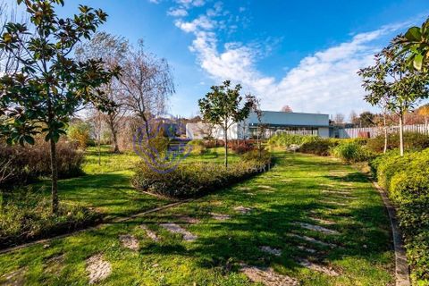 Farm i Maia, Porto, Maia - € 2.970.000 | Ref: 150271 - foto 33
