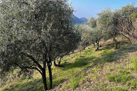 Helårsgrund i Predore, Bergamo, Predore - € 39.000 | Ref: PRE23 - foto 8