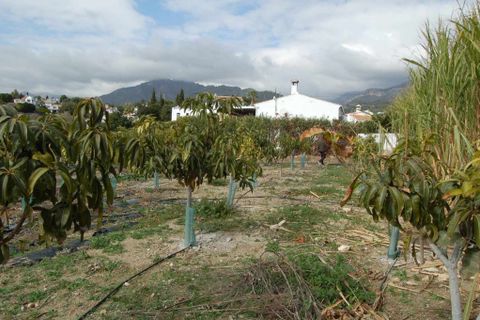 Helårsgrund i Nerja, Malaga, Nerja - € 225.000 | Ref: VSR1950 - foto 3