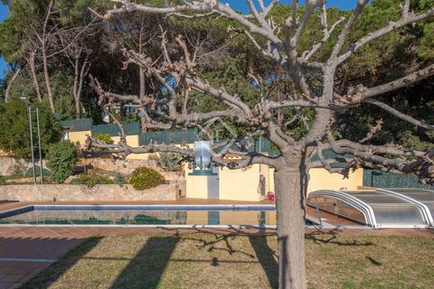 Villa i Platja D'aro, Gerona, Platja D'aro - € 1.150.000 | Ref: PDA48257 - foto 21