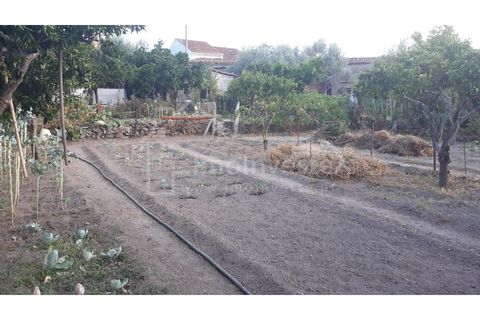 Terra a Alcains, Castelo Branco, Alcains - € 40.000 | Ref: TER_303 - foto 2