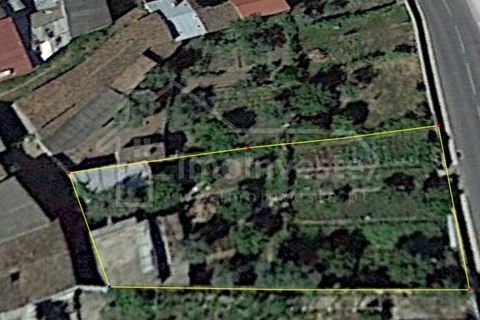 Terra a Alcains, Castelo Branco, Alcains - € 40.000 | Ref: TER_303 - foto 3