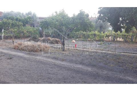 Terra a Alcains, Castelo Branco, Alcains - € 40.000 | Ref: TER_303 - foto 4