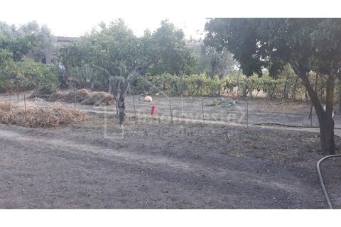 Terra a Alcains, Castelo Branco, Alcains - € 40.000 | Ref: TER_303 - foto 5