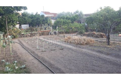 Terra a Alcains, Castelo Branco, Alcains - € 40.000 | Ref: TER_303 - foto 6