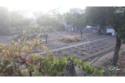 Terra a Alcains, Castelo Branco, Alcains - € 40.000 | Ref: TER_303 - foto 7