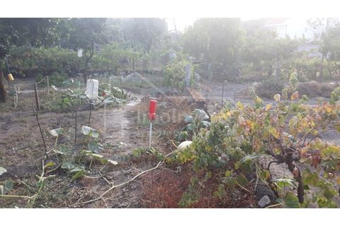 Terra a Alcains, Castelo Branco, Alcains - € 40.000 | Ref: TER_303 - foto 8
