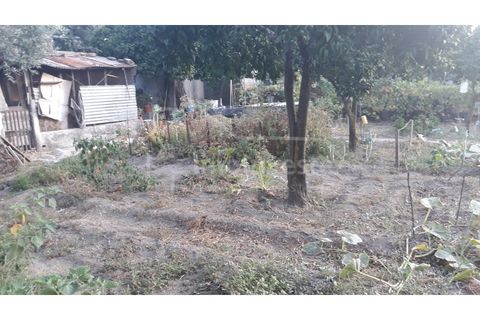 Terra a Alcains, Castelo Branco, Alcains - € 40.000 | Ref: TER_303 - foto 9