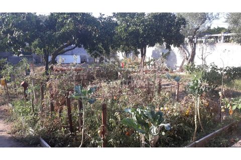 Terra a Alcains, Castelo Branco, Alcains - € 40.000 | Ref: TER_303 - foto 12