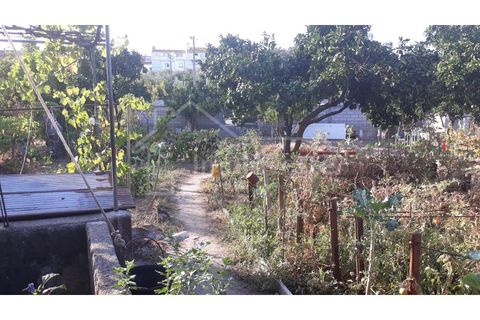Terra a Alcains, Castelo Branco, Alcains - € 40.000 | Ref: TER_303 - foto 13