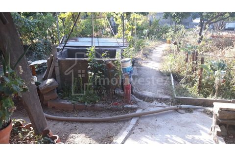 Terra a Alcains, Castelo Branco, Alcains - € 40.000 | Ref: TER_303 - foto 14