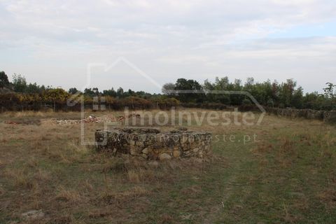 Terra a Alcains, Castelo Branco, Alcains - € 19.500 | Ref: SÒL_989 - foto 2