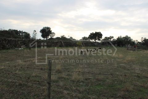 Terra a Alcains, Castelo Branco, Alcains - € 19.500 | Ref: SÒL_989 - foto 3