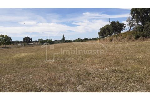Helårsgrund i Alcains, Castelo Branco, Alcains - € 165.000 | Ref: TER_761 - foto 1