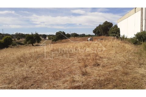 Helårsgrund i Alcains, Castelo Branco, Alcains - € 165.000 | Ref: TER_761 - foto 2