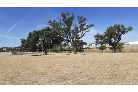 Helårsgrund i Alcains, Castelo Branco, Alcains - € 165.000 | Ref: TER_761 - foto 3