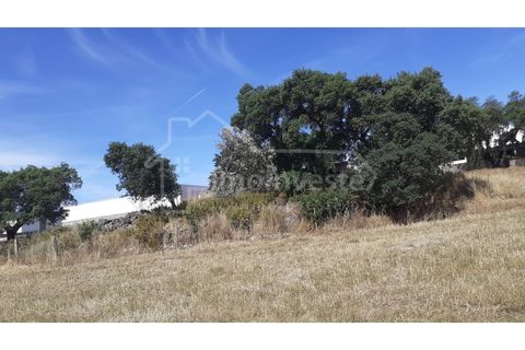Helårsgrund i Alcains, Castelo Branco, Alcains - € 165.000 | Ref: TER_761 - foto 8