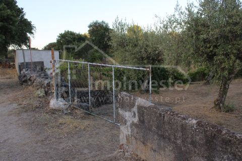 Helårsgrund i Castelo Branco, Castelo Branco, Castelo Branco - € 18.000 | Ref: SÒL_801 - foto 1