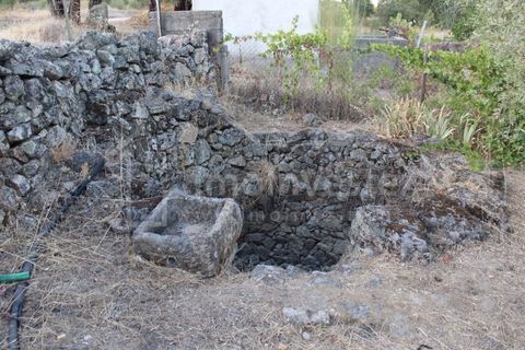 Helårsgrund i Castelo Branco, Castelo Branco, Castelo Branco - € 18.000 | Ref: SÒL_801 - foto 2