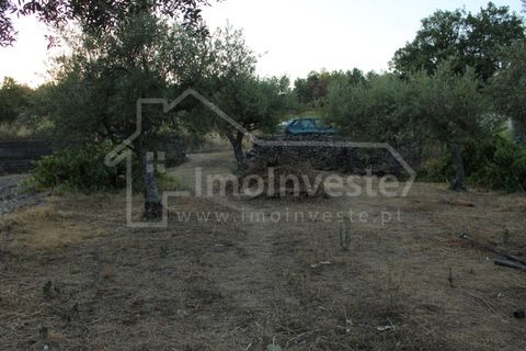 Helårsgrund i Castelo Branco, Castelo Branco, Castelo Branco - € 18.000 | Ref: SÒL_801 - foto 3