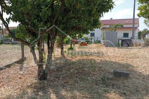 Helårsgrund i Castelo Branco, Castelo Branco, Castelo Branco - € 24.000 | Ref: PAR_911 - foto 3