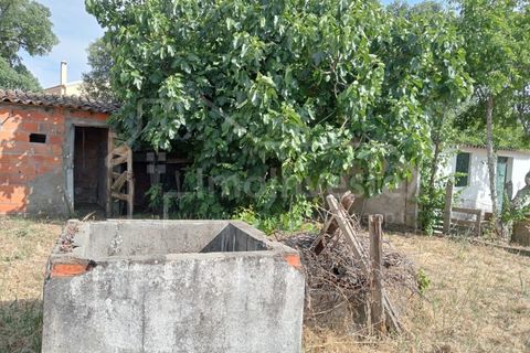 Helårsgrund i Castelo Branco, Castelo Branco, Castelo Branco - € 24.000 | Ref: PAR_911 - foto 5
