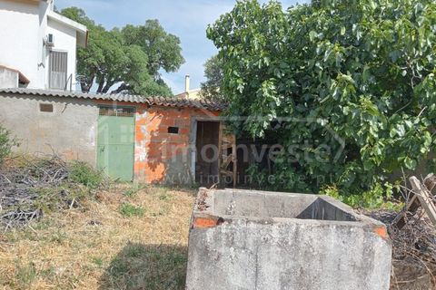Helårsgrund i Castelo Branco, Castelo Branco, Castelo Branco - € 24.000 | Ref: PAR_911 - foto 6