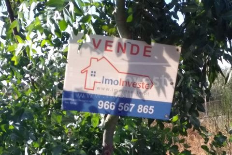 Helårsgrund i Castelo Branco, Castelo Branco, Castelo Branco - € 15.000 | Ref: SÒL_454 - foto 1